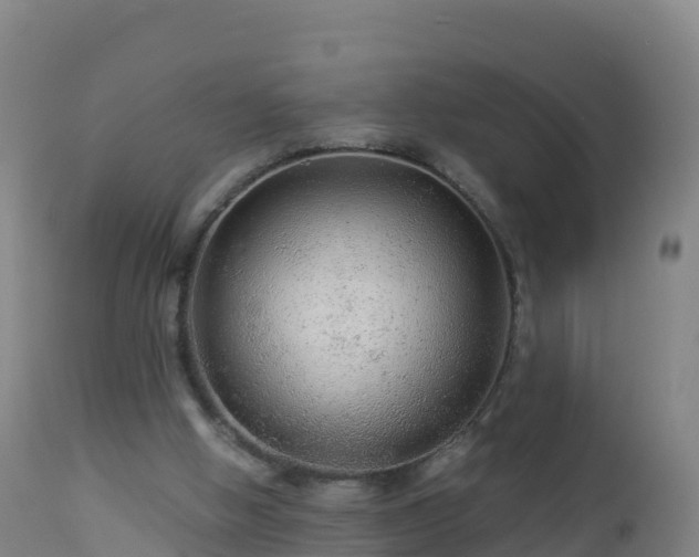 X0000112900058200908281736