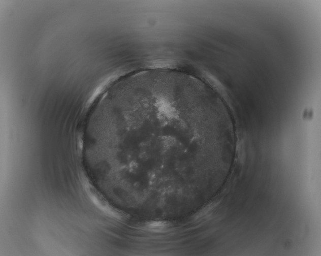 X0000112900059200908281736