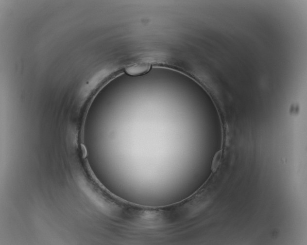 X0000112900060200908281736