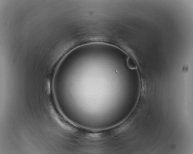 X0000112900061200908281736