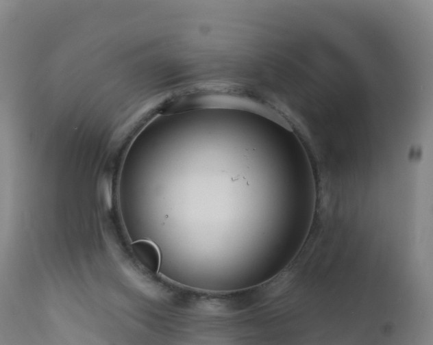 X0000112900062200908281736