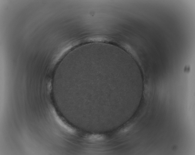 X0000112900063200908281736