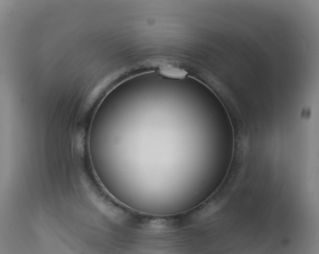 X0000112900064200908281736