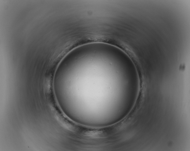 X0000112900065200908281736