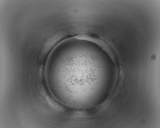 X0000112900066200908281736