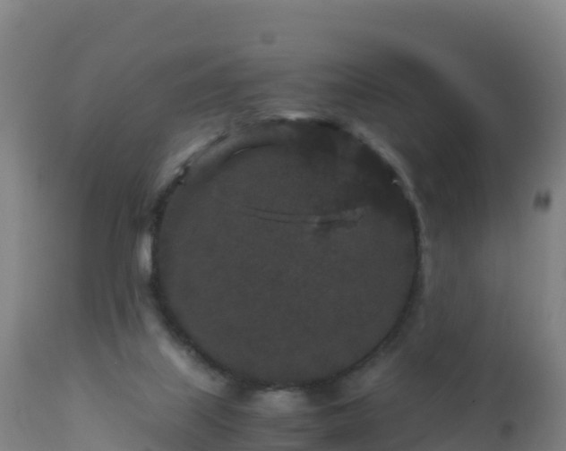 X0000112900067200908281736