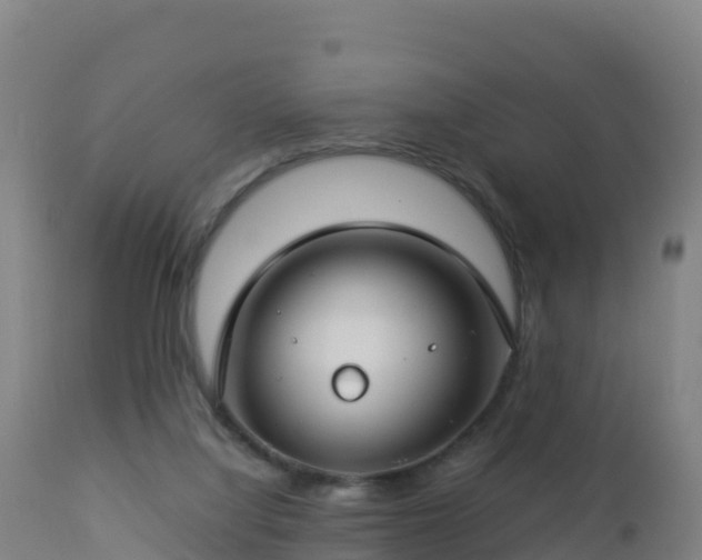 X0000112900068200908281736