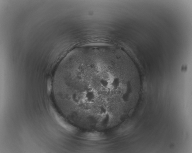 X0000112900069200908281736