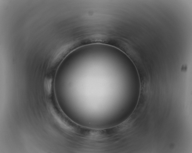 X0000112900070200908281736