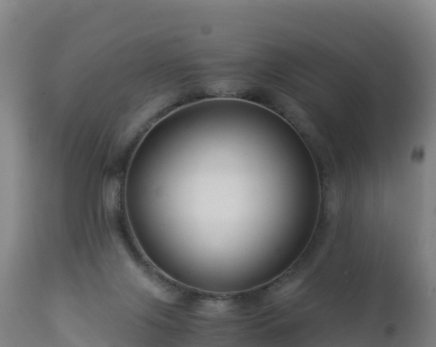 X0000112900071200908281736