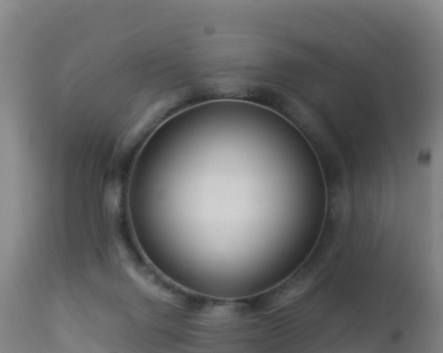 X0000112900072200908281736