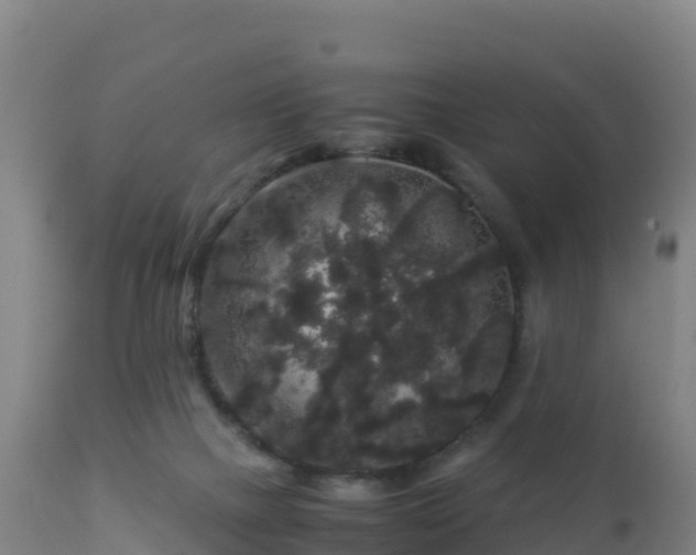 X0000112900073200908281736