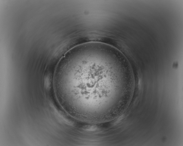 X0000112900074200908281736