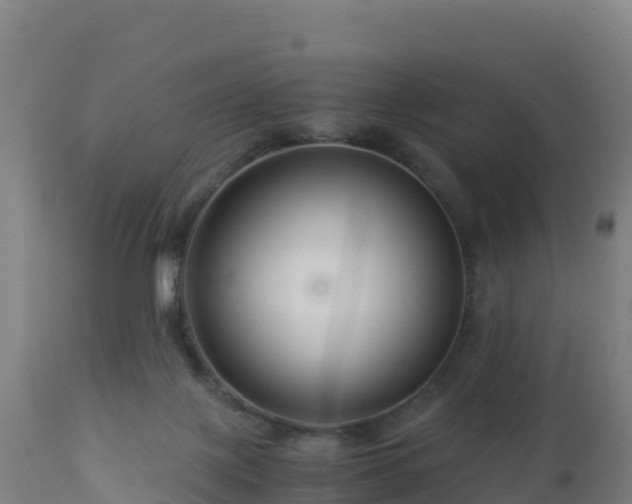 X0000112900075200908281736