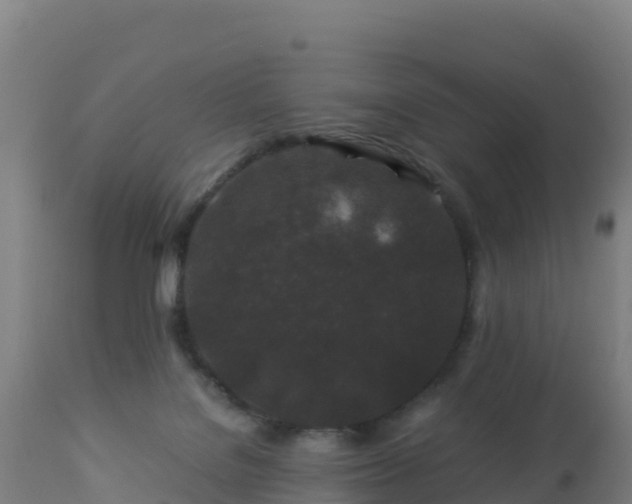 X0000112900076200908281736