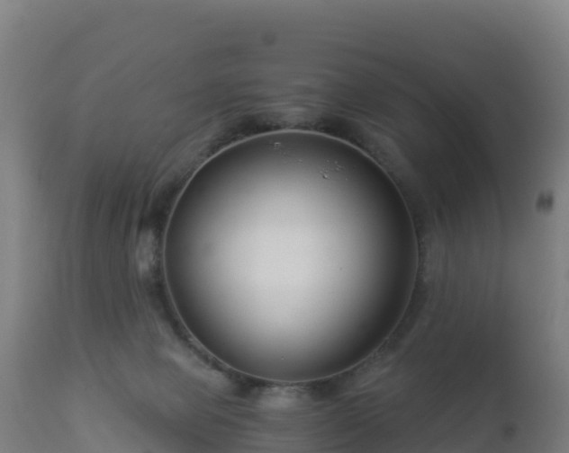 X0000112900077200908281736