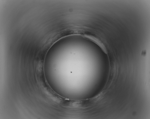 X0000112900078200908281736