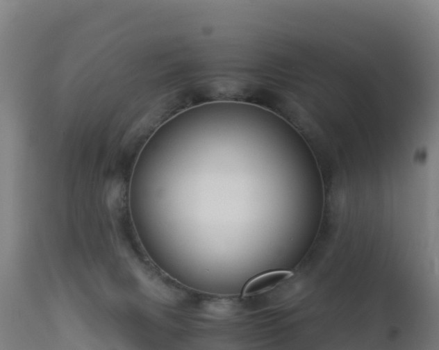 X0000112900079200908281736