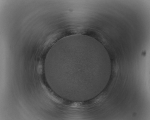 X0000112900080200908281736