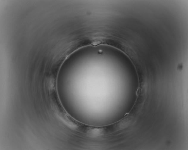 X0000112900081200908281736