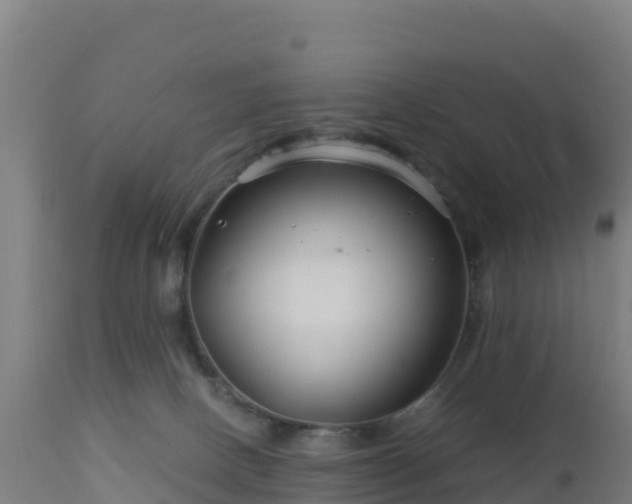 X0000112900082200908281736