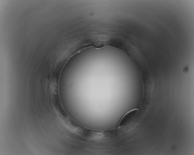 X0000112900083200908281736