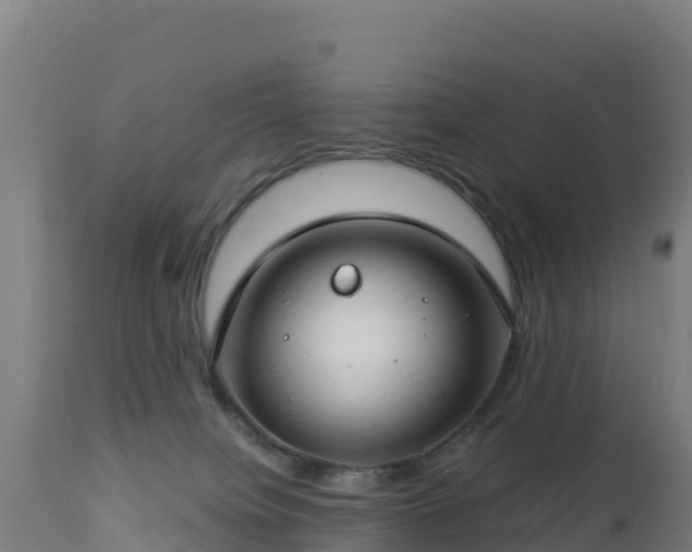 X0000112900084200908281736