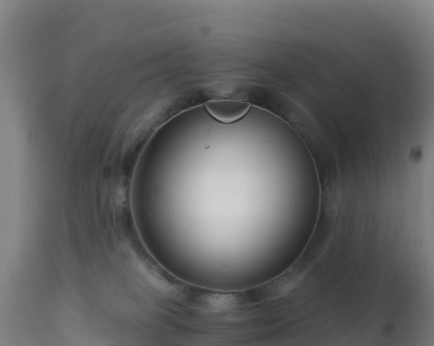 X0000112900085200908281736