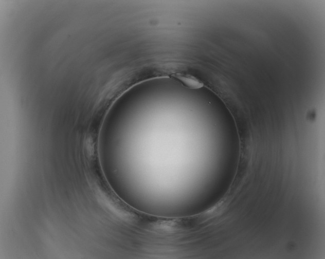 X0000112900086200908281736