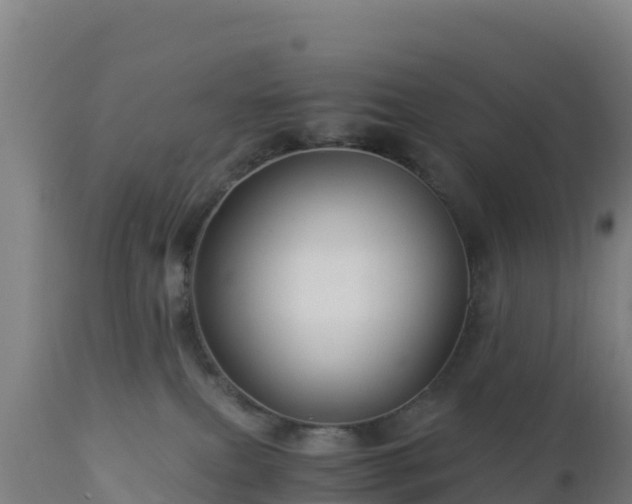 X0000112900087200908281736