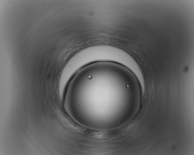 X0000112900088200908281736