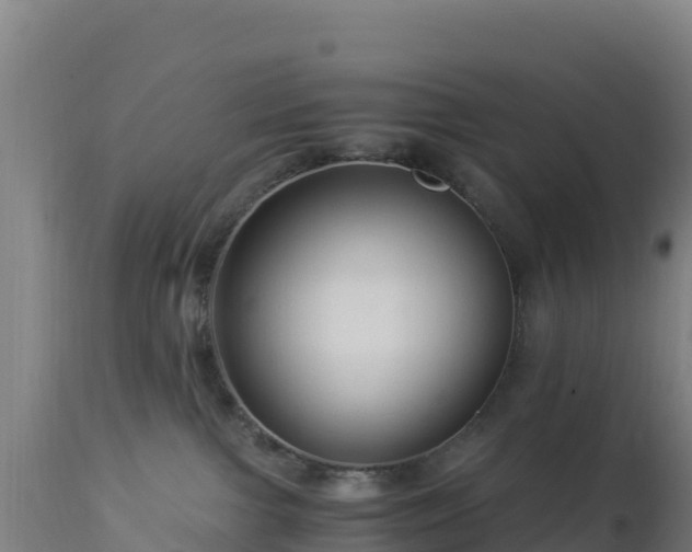 X0000112900091200908281736