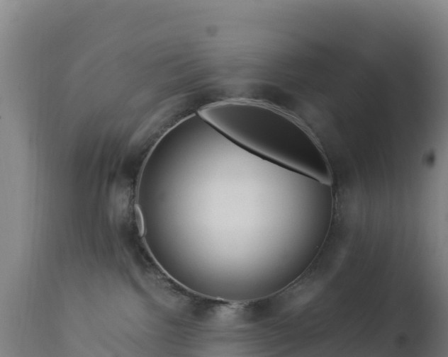 X0000112900092200908281736