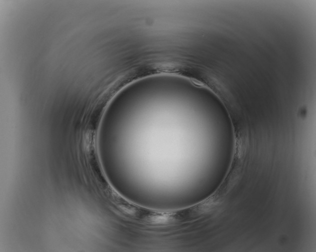 X0000112900093200908281736