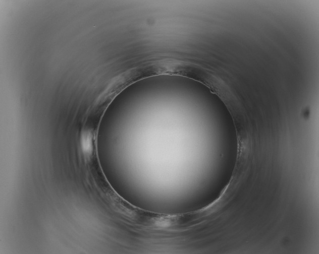 X0000112900094200908281736