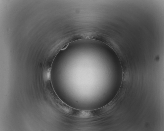 X0000112900095200908281736