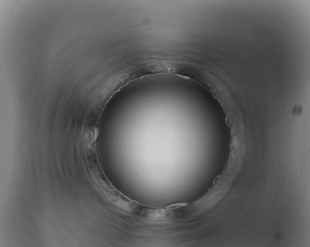 X0000112900096200908281736