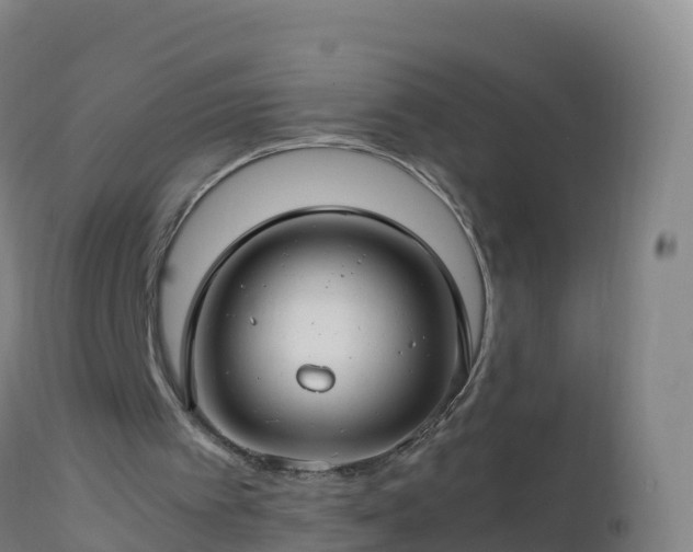 X0000112900097200908281735