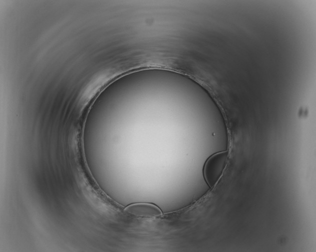 X0000112900098200908281735