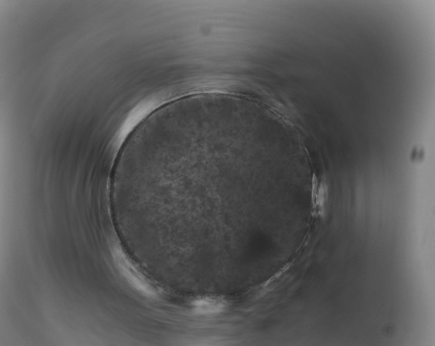 X0000112900099200908281735