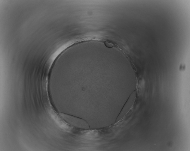 X0000112900100200908281735