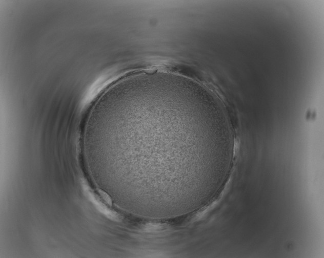 X0000112900101200908281735