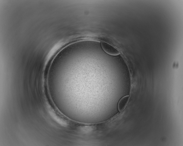 X0000112900102200908281735