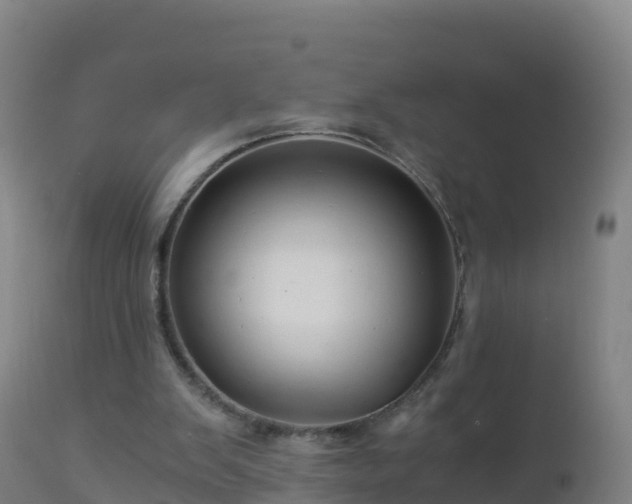 X0000112900103200908281735