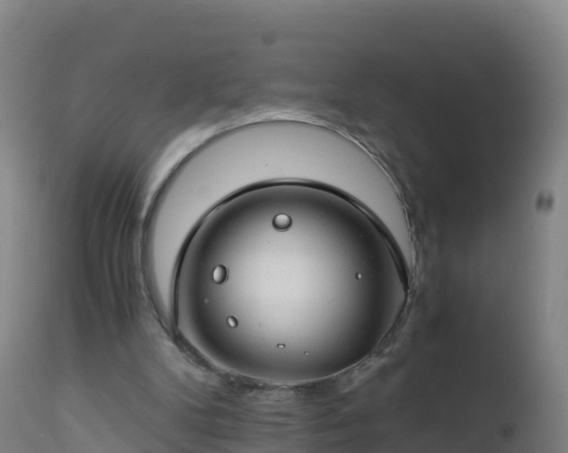 X0000112900104200908281735