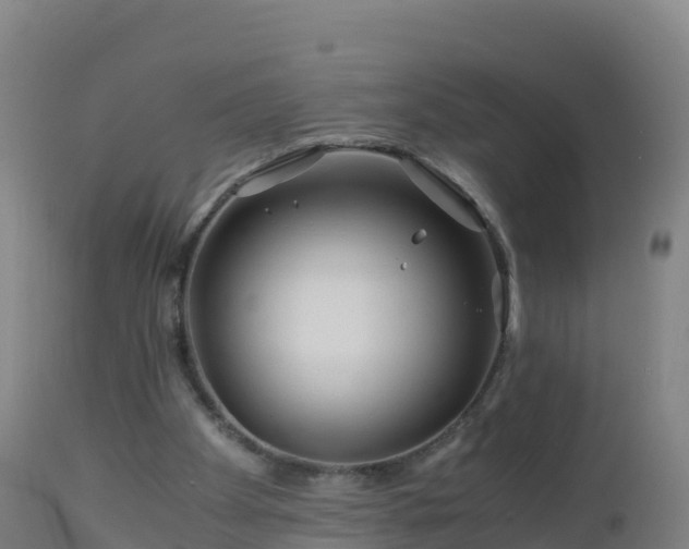 X0000112900105200908281735