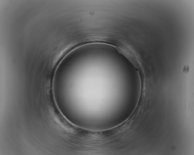 X0000112900107200908281735