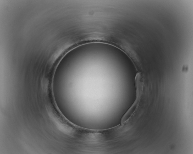 X0000112900108200908281735