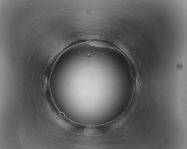 X0000112900109200908281735