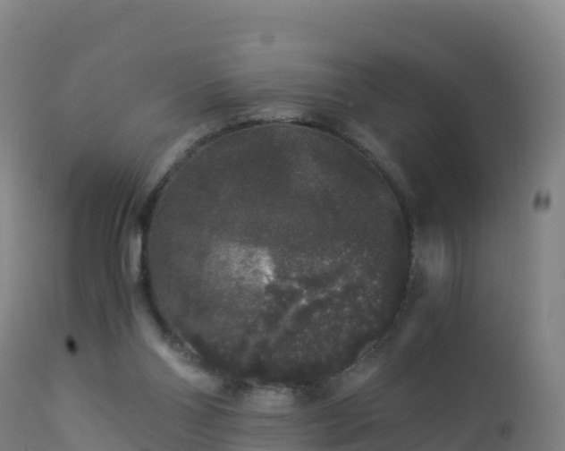 X0000112900110200908281735